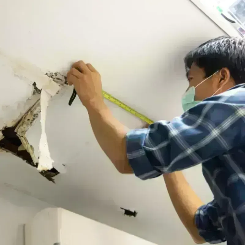 Ceiling And Wall Water Damage in Aiea, HI